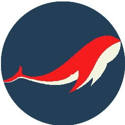 老鱼socks5安卓客户端